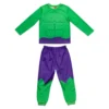 Hulk Long Sleeve Pyjamas Set For Kids -Magical Ears Collectibles Shop 2405053070004M