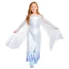 Elsa Snow Queen Costume For Kids, Frozen -Magical Ears Collectibles Shop 2841045240311M