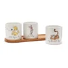 Winnie The Pooh And Friends Plant Pot Set -Magical Ears Collectibles Shop 465042483752