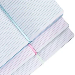 Walt Disney's Disneyland Journal Set, 3-Pc. - Disney100 -Magical Ears Collectibles Shop 466043802443 4