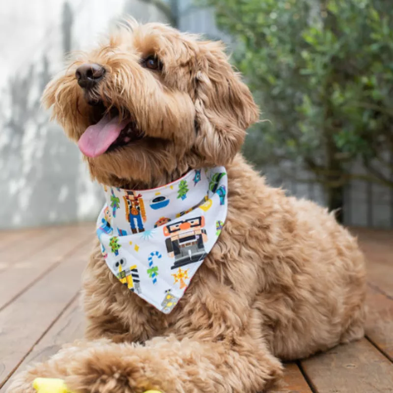 Pixar Holiday Bandana Set For Dogs 3 Pixar Holiday Bandana Set For Dogs